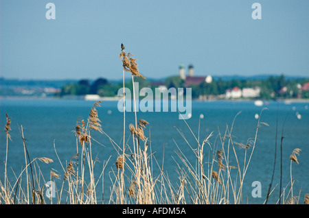 Vista sul lago di Costanza e Friedrichshafen, Riserva Naturale Eriskircher Ried Lago di Costanza Germania Maggio 2005 Foto Stock