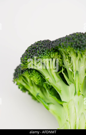 Broccoli Broccoli verdura fresca sana organico Foto Stock