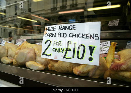 Free range mais polli alimentati in vendita sul display in macelleria finestra, Saffron Walden, England, Regno Unito Foto Stock