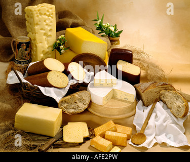 Formaggi tedesco nel gruppo fotografia a colori su tan tonalità dello sfondo a chiazze. Formato orizzontale, studio del piano portapaziente. Immagine classica. Foto Stock