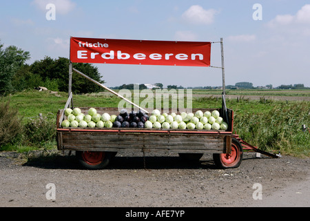 Il rimorchio è caricato con cavoli fragole freschezza si erge sulla palina Foto Stock