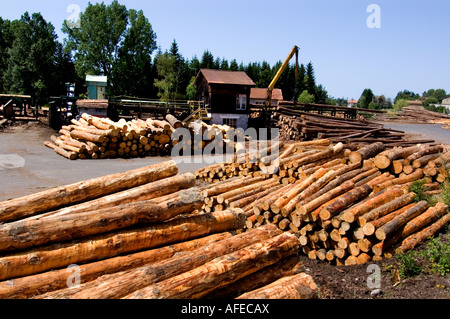 Segheria di legname di legno di legno-sawyer legname lumberjack log in legno Legname abbattimento di alberi mulino in legno di foresta francia - francese Foto Stock