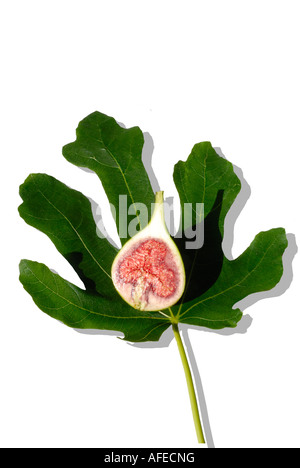 Latino, Ficus carica. Comune, comune Fig Tree, Marrone Turchia Fig. Un frutto- fig - tagliato a metà contro uno sfondo di una foglia Foto Stock