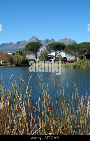 Helderberg Mountain si affaccia Eikendal vigneti vicino a Stellenbosch western cape South Africa RSA. Cantina sulla diga Foto Stock