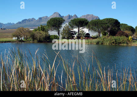 Helderberg Mountain si affaccia Eikendal vigneti vicino a Stellenbosch western cape South Africa RSA. Cantina sulla diga Foto Stock