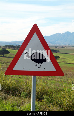 Guardatevi un triangolo rosso cartello stradale che mostra un faraone uccello sull'autostrada. Sud Africa RSA Foto Stock