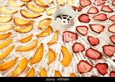 Essiccazione frutta Foto Stock