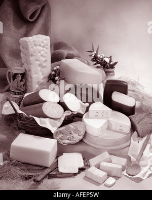 Formaggi tedesco nel gruppo seppia fotografia sulle calde tonalità dello sfondo a chiazze. Formato verticale, studio del piano portapaziente. Immagine classica. Foto Stock