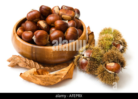 Disposizione autunnali con una ciotola di castagne isolato su bianco Foto Stock