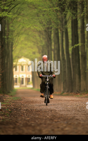 Paesi Bassi Graveland Senior uomo Bicicletta Equitazione nella foresta di faggio Foto Stock