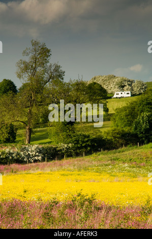 Caravan sopra di fiori selvatici Prati vicino Alvanley Cheshire England Regno Unito Foto Stock