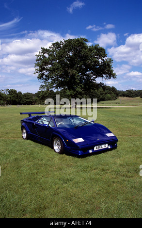 Lamborghini Countach anniversario 1988 a 90 Foto Stock