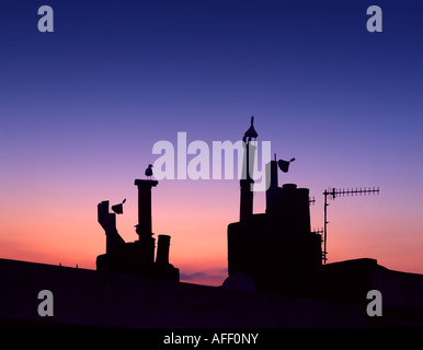 Gabbiani seduti sui comignoli e inverno twilight, Brighton e Hove, East Sussex. Foto Stock