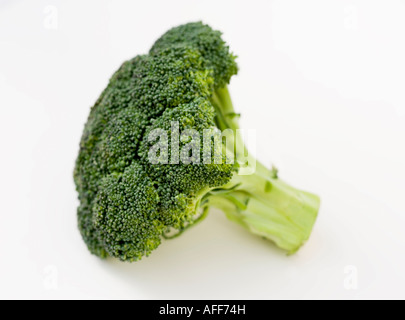 Studio shot di rosette di broccoli Foto Stock