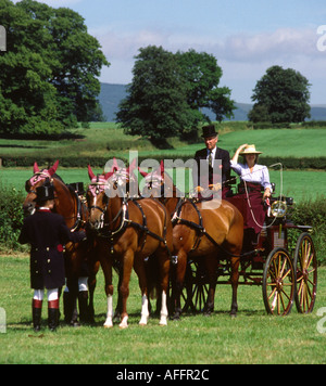 Sport carrello e quattro Foto Stock