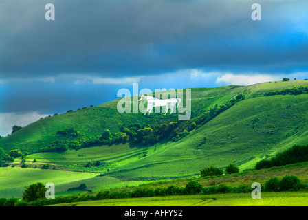 White Horse Bratton camp Westbury Wiltshire, Inghilterra UK Regno Unito GB Gran Bretagna UE Unione europea EUROPA Foto Stock