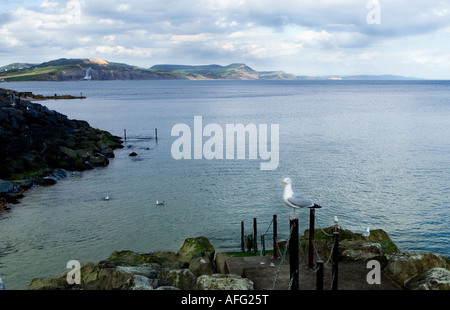 Porto di Dorset Foto Stock