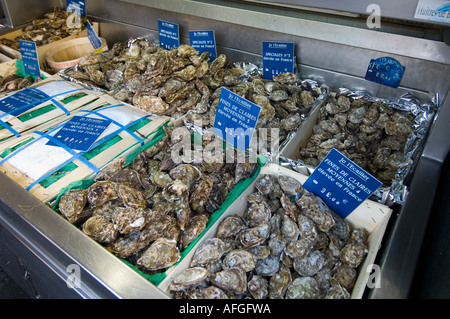 Le ostriche in vendita a Nizza Francia meridionale Foto Stock