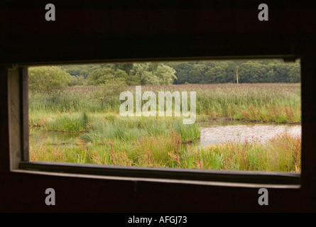 Una vista della palude e reedbed a Leighton Moss RSPB riserva da uno delle pelli Foto Stock