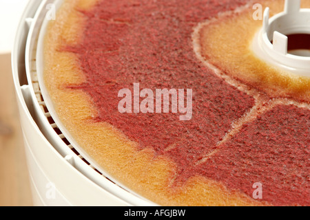 Essiccazione frutta Foto Stock