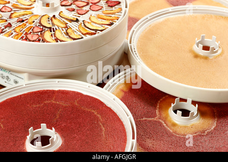 Essiccazione frutta Foto Stock