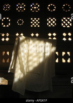 Favoloso illustrazione nel tempio Jain di Lodurva vicino la città dorata di Jaisalmer nel deserto del Thar in Rajasthan in India Foto Stock