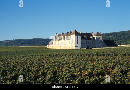 Vigneto Chateau du Clos de Vougeot Cote d o Borgogna Francia Foto Stock