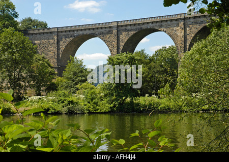 Ponte ferroviario, viadict oltre la Ruhr, costruito 1877-1878, Herdecke, Dortmund, bacino della Ruhr, NRW, - Renania settentrionale - Vestfalia, Germania Foto Stock