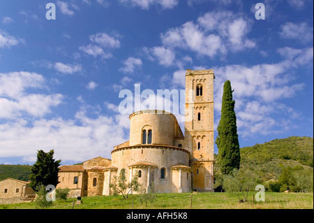 Ulivo con abbazia di Sant Antimo in background Foto Stock