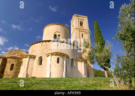 Ulivo con abbazia di Sant Antimo in background Foto Stock