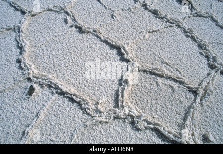 Crosta di sale al Salar de Atacama deserto di Atacama, Cile Foto Stock