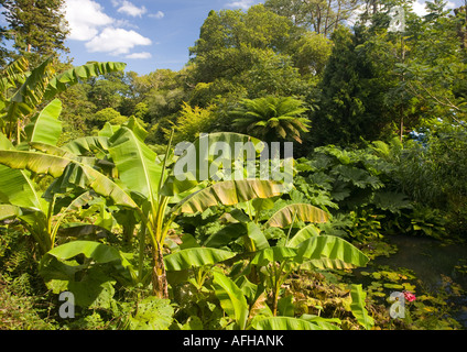 I giardini, create principalmente nel XIX secolo era uno dei più bei giardini in Inghilterra del loro periodo, con 57 acri di Foto Stock