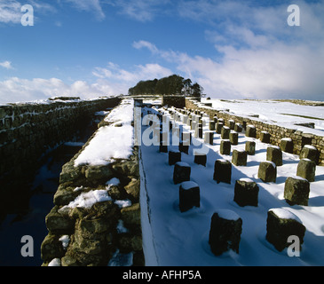 Resti di granaio di Housesteads Fort il Vallo di Adriano Northumberland Foto Stock