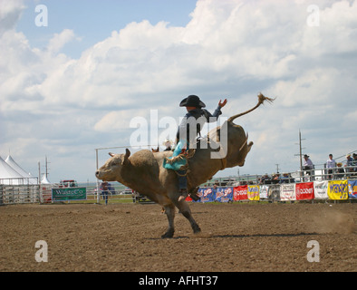 Rodeo Alberta Canada Bull Riding Cowboy vaiolatura le loro abilità contro ruvido e vizioso tori Foto Stock