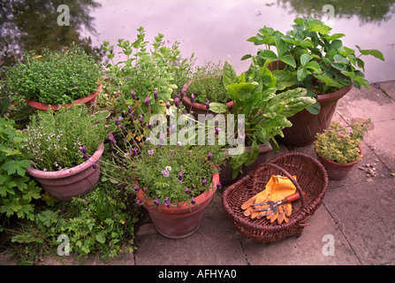 Cestino in vimini con guanti da giardinaggio, fiori in vaso e strumenti all' aperto, spazio per il testo Foto stock - Alamy