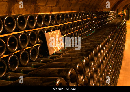 File di bottiglie di champagne affinamento in cantina di Moet & Chandon a Epernay Marne Francia Foto Stock