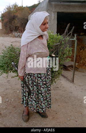 Donna anziana con la sua falce taglio di rami nel villaggio rurale nel sud-ovest della Turchia. Foto Stock