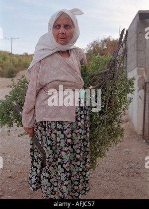 Donna anziana con la sua falce taglio di rami nel villaggio rurale Southwesten in Turchia. Foto Stock