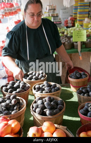 Shipshewana Indiana,Shipshewana mercato delle pulci,donna Amish,produce,venditore venditori venditori venditore,bancarella bancarelle commerciante mercato dei commercianti, greengroc Foto Stock