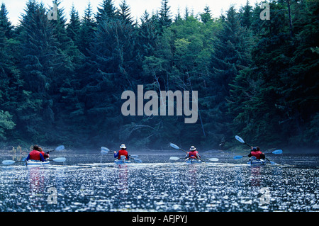 Un gruppo di mare kayakers esplorare un ingresso nel labirinto delle isole in Johnstone Strait, British Columbia Foto Stock