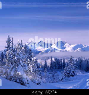 Il Nemaiah Valley e la costa Montagne in Cariboo Chilcotin regione della Columbia britannica in Canada in inverno Foto Stock