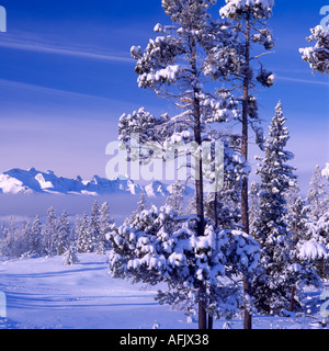 Il Nemaiah Valley e la costa le montagne in inverno nel Cariboo Chilcotin regione della Columbia britannica in Canada Foto Stock