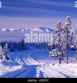 Il Nemaiah Valley e la costa le montagne in inverno nel Cariboo Chilcotin regione della Columbia britannica in Canada Foto Stock