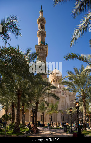 Le famiglie di rilassarsi dopo le preghiere del venerdì nel giardino alberato di Abu Al-Abbas Al-Mursi moschea, Alessandria, Egitto Foto Stock