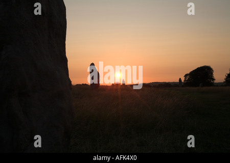 West Kennet Avenue (Avebury) stagliano al tramonto. Wiltshire, Inghilterra, Regno Unito. Foto Stock