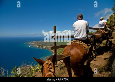 Molokai Mule Ride Isola delle Hawaii Kalaupapa National Park Foto Stock