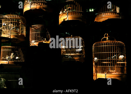 Gabbie di uccelli a Yuen Po Bird Park di Hong Kong Foto Stock