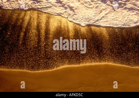 Vista del lavaggio onde sulla spiaggia angolo di overhead California Foto Stock