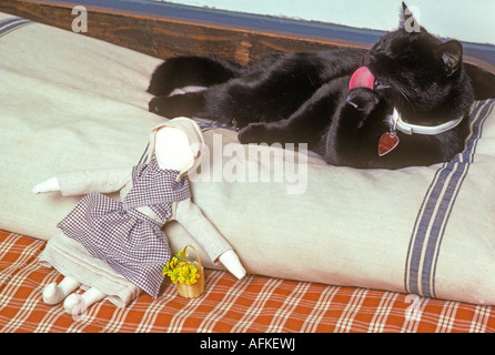 Gatto Nero faccia di lavaggio su letto di vecchio stile amish doll nessun volto Foto Stock