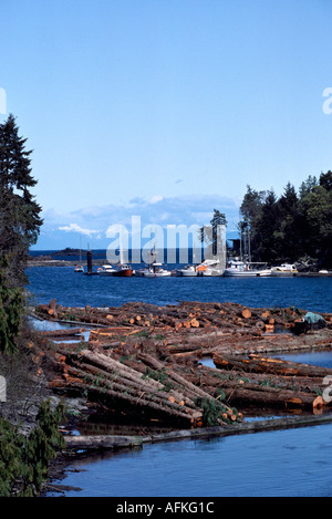 Bracci di registro a Galiano Island nelle isole del golfo vicino a Vancouver Island in British Columbia Canada Foto Stock